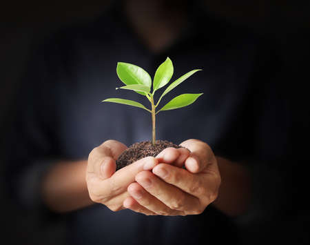 One Client One Tree